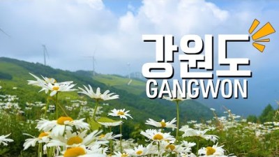 국내여행지 추천 7월 강원도 가볼만한곳 육백마지기 안반데기 강원도여행