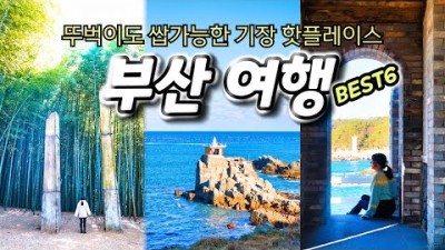 뚜벅이도 쌉가능한 겨울 부산 여행 코스🚖 택시투어 로이쿠 타고 떠나는 부산 기장 당일치기 여행, 해동용궁사, 아홉산숲, 오랑대공원, 죽성성당 등