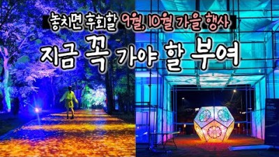 가을에 꼭 가봐야 할 야간 행사, 2023 부여 문화유산 미디어아트 (입장료 무료!)