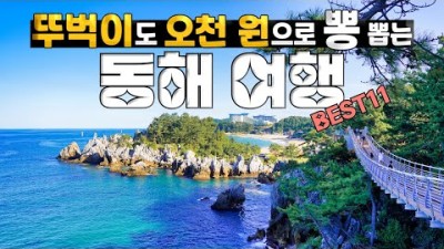 뚜벅이 강원도 동해 여행 코스 🚍 1박 2일 동해 가볼만한곳, 동해시티투어