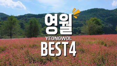 영월 가볼만한곳 BEST 4 강원도여행