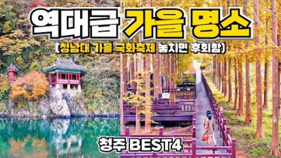 충북 최고의 가을 여행지🍂 청주 청남대 가을 국화축제, 미동산수목원, 백석정, 문암생태공원!